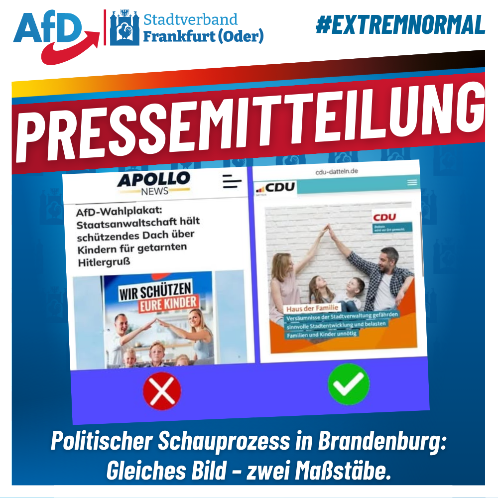 Bild zu Politischer Schauprozess wegen AfD-Wahlplakat – Justiz missbraucht für politische Zwecke